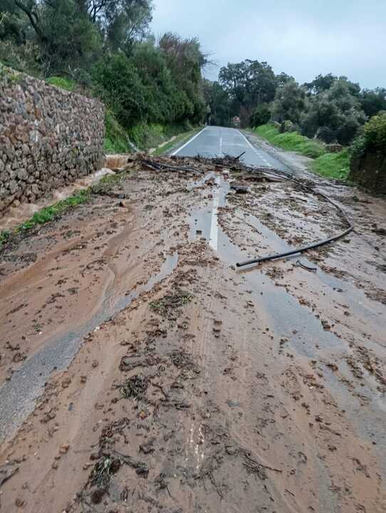 limpieza carreteras 4