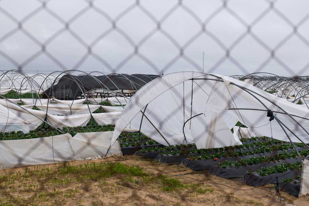 Fuente: Facebook Ayuntamiento de Almonte