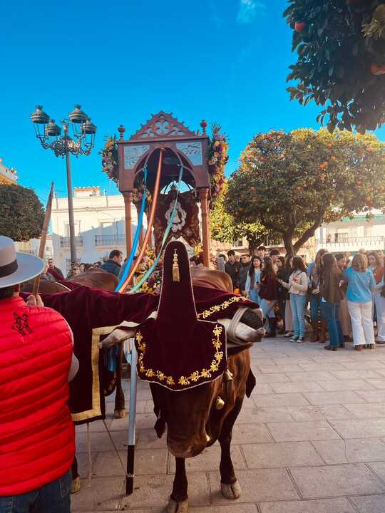 Fuente: Ayuntamiento de Beas