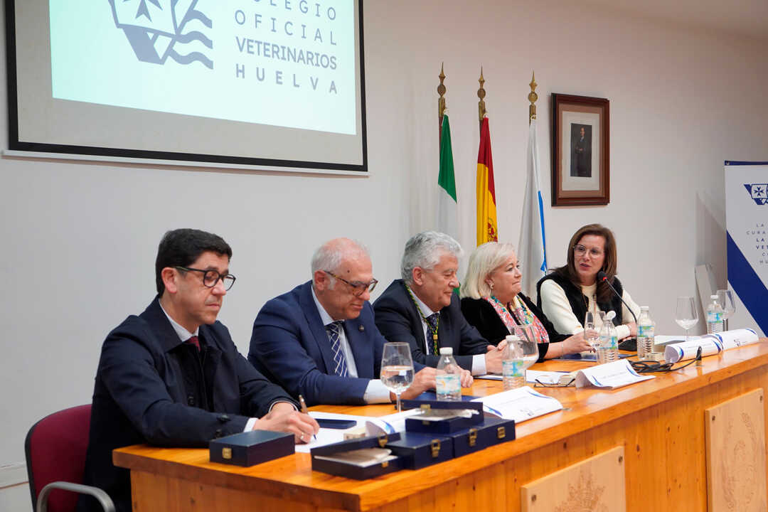 Toma de posesión de José Luis Carrillo