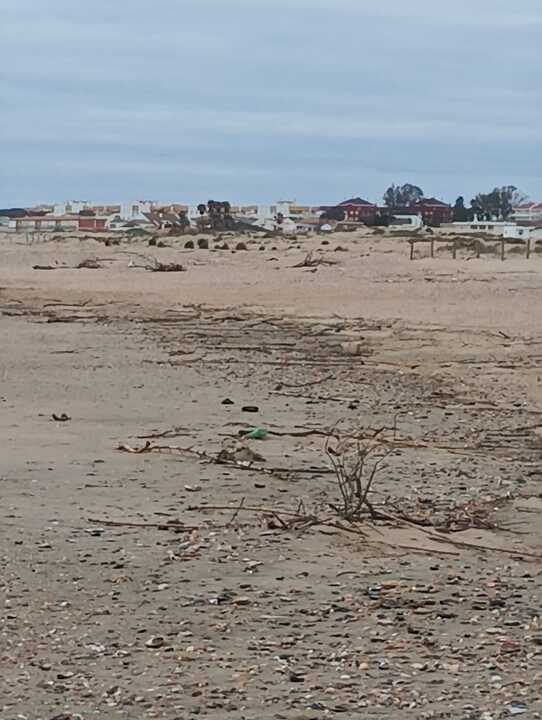 Fuente: Ayuntamiento de Punta Umbría