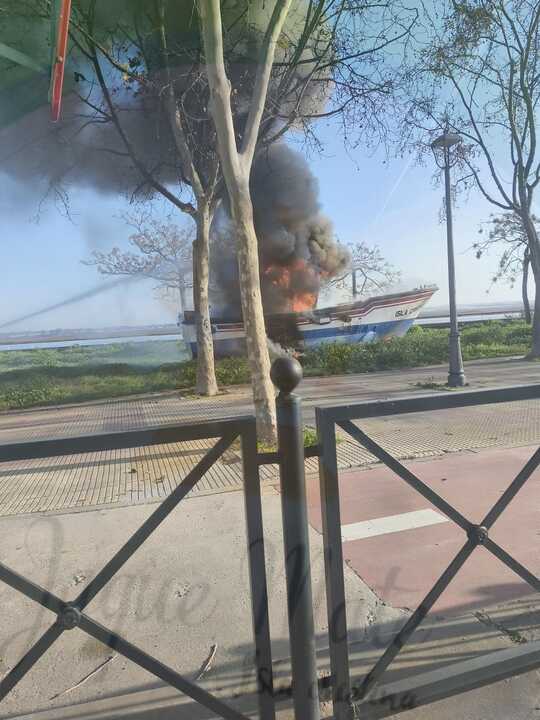 Fuente: Facebook Jaque Mate Isla Cristina