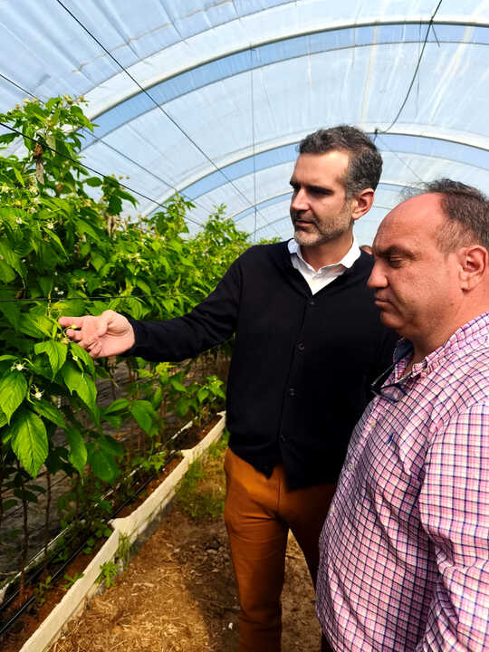 Fuente: Junta de Andalucía