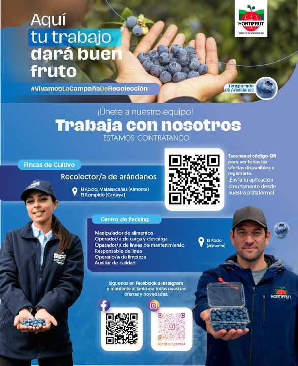 Hortifruit está buscando trabajadores para su camapaña 2026