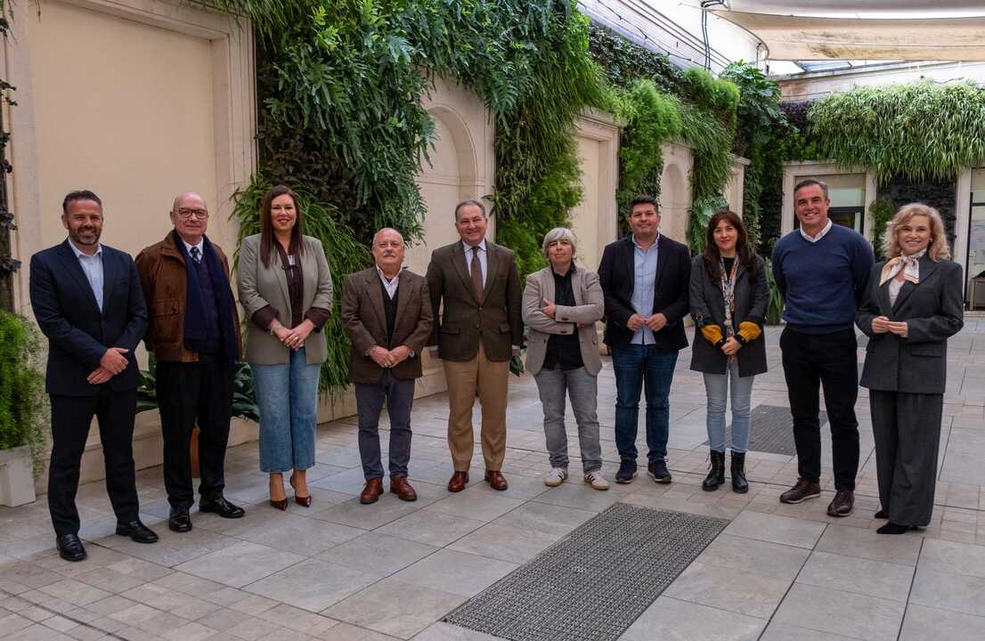Pleno de la Diputación. Fuente: Diputación de Huelva