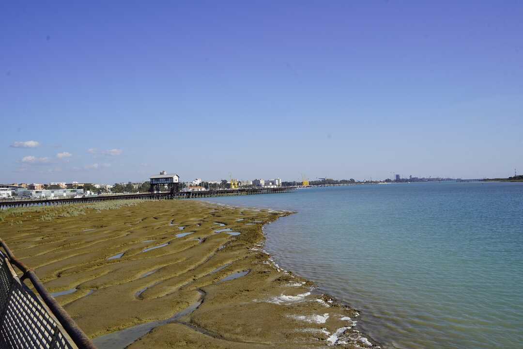 Autoridades Muelle de Tharsis APHI. Fuente: Puerto de Huelva.