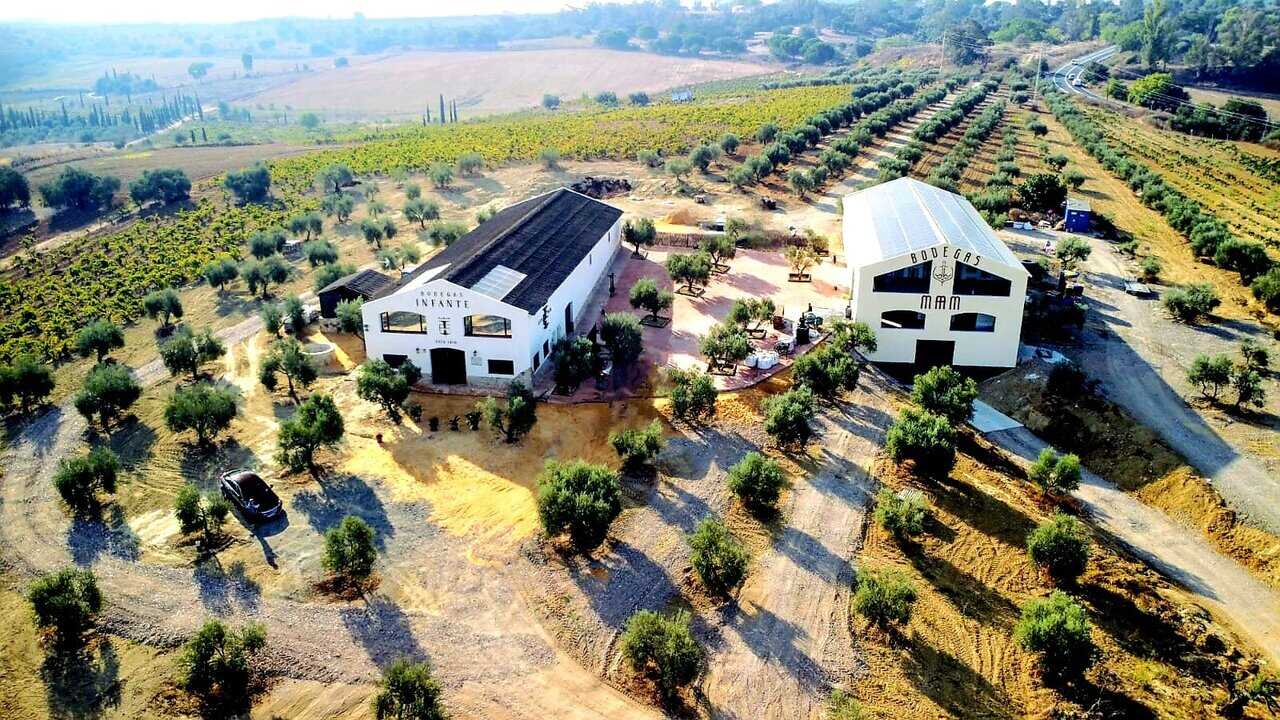 Bodegas Infante y Bodegas MAM La Palma del Condado
