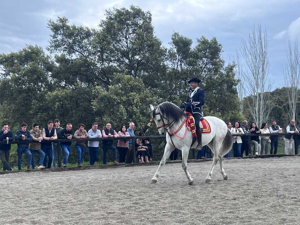 Feria de ganado de Puerto Moral 4