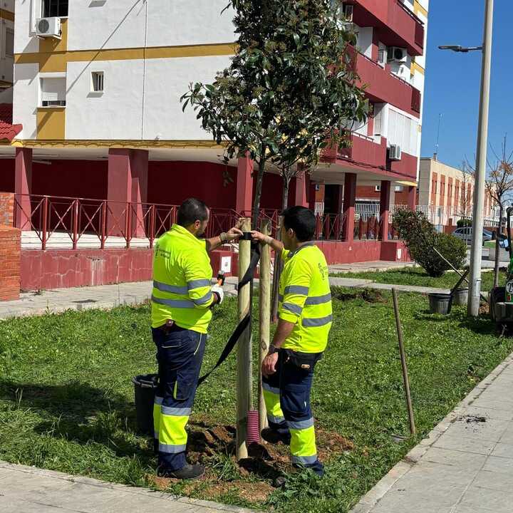 Fuente: Ayuntamiento de Huelva
