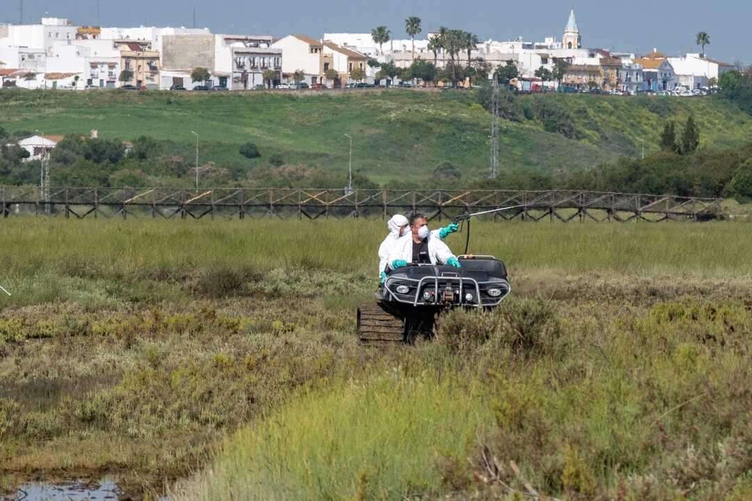Vehículo anfibio presentado por la Diputación en las marismas de Aljaraque. Fuente: Diputación de Huelva