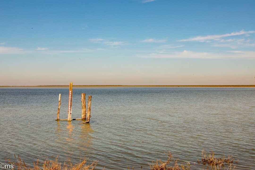 Fuente: Facebook Espacio Natural de Doñana