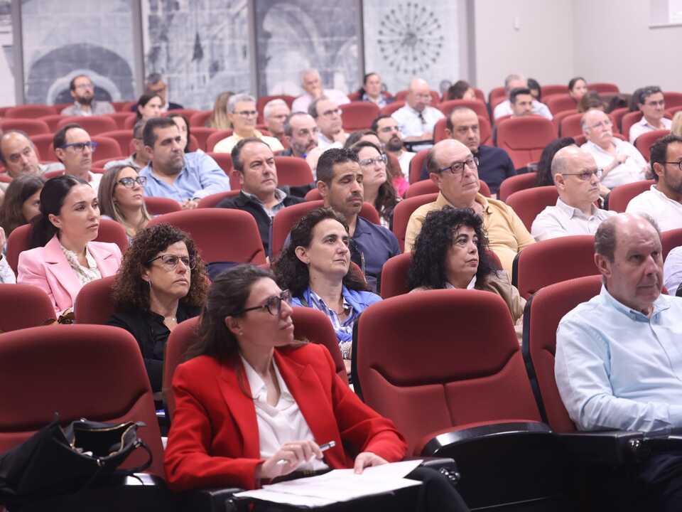 Público asistente a la sesión