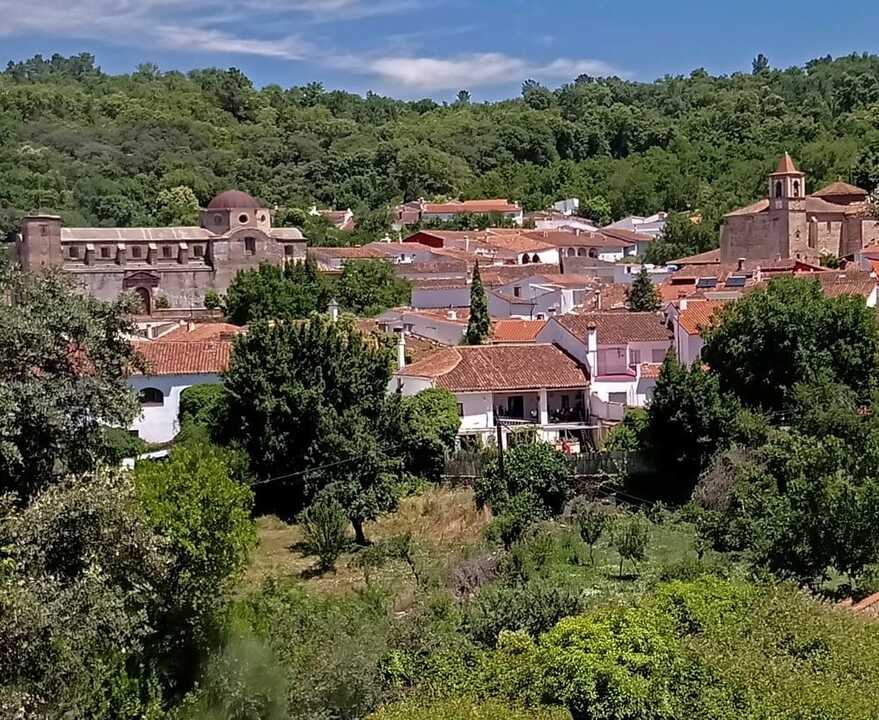Castaño del Robledo 2