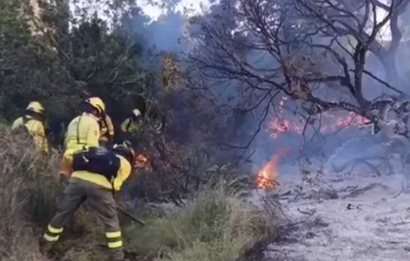 Bomberos del Infoca combaten el incendio en Marismillas, en Almonte