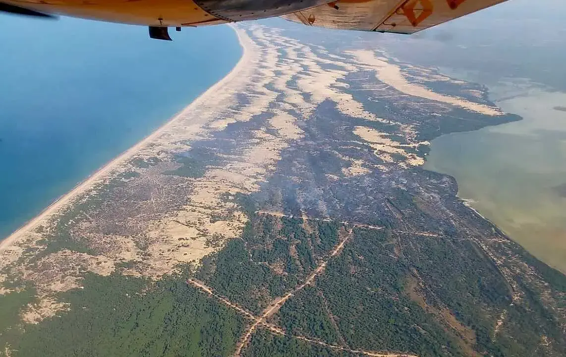 Imagen del incendio de Almonte