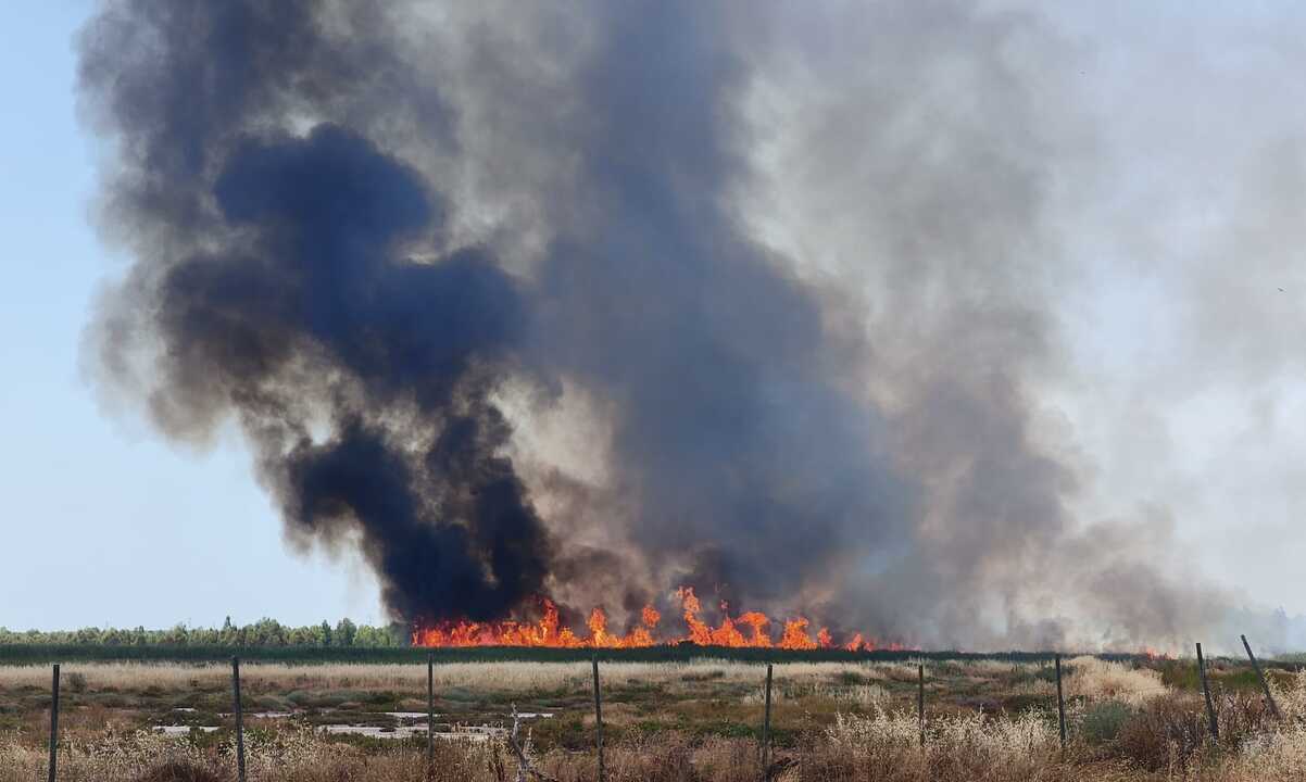 Incendio en Gibraleón2