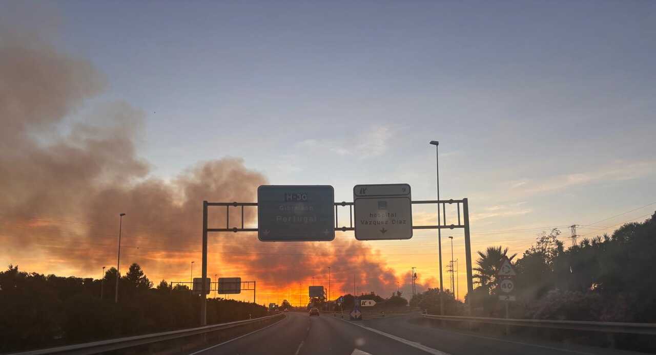 Columna de humo tras el incendio en Marismas del Odiel
